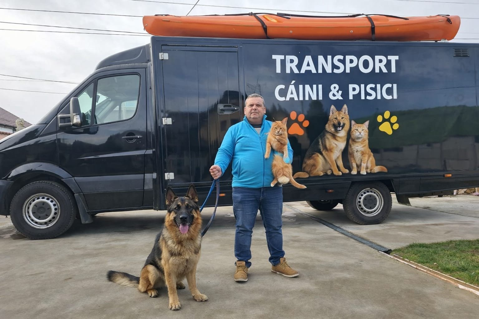 Transport animale de companie