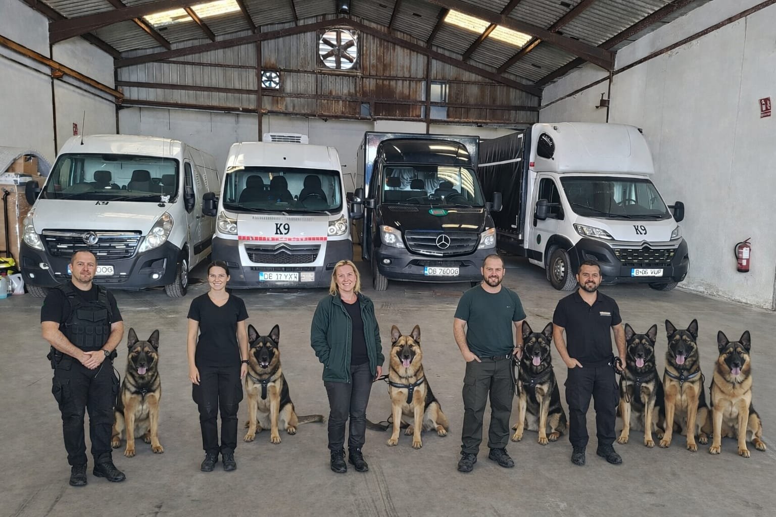 Transport animale de companie K9