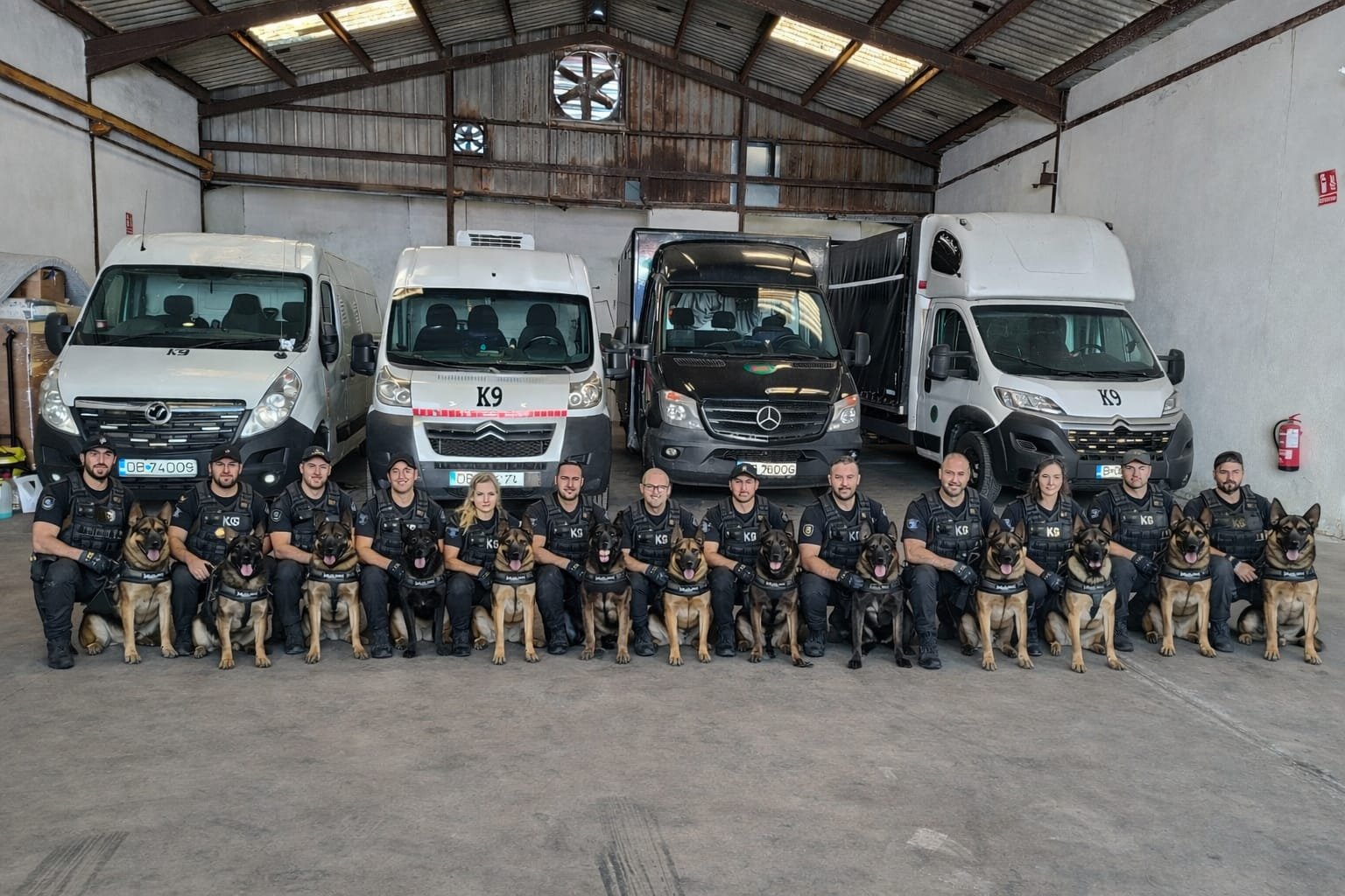 Transport animale de companie