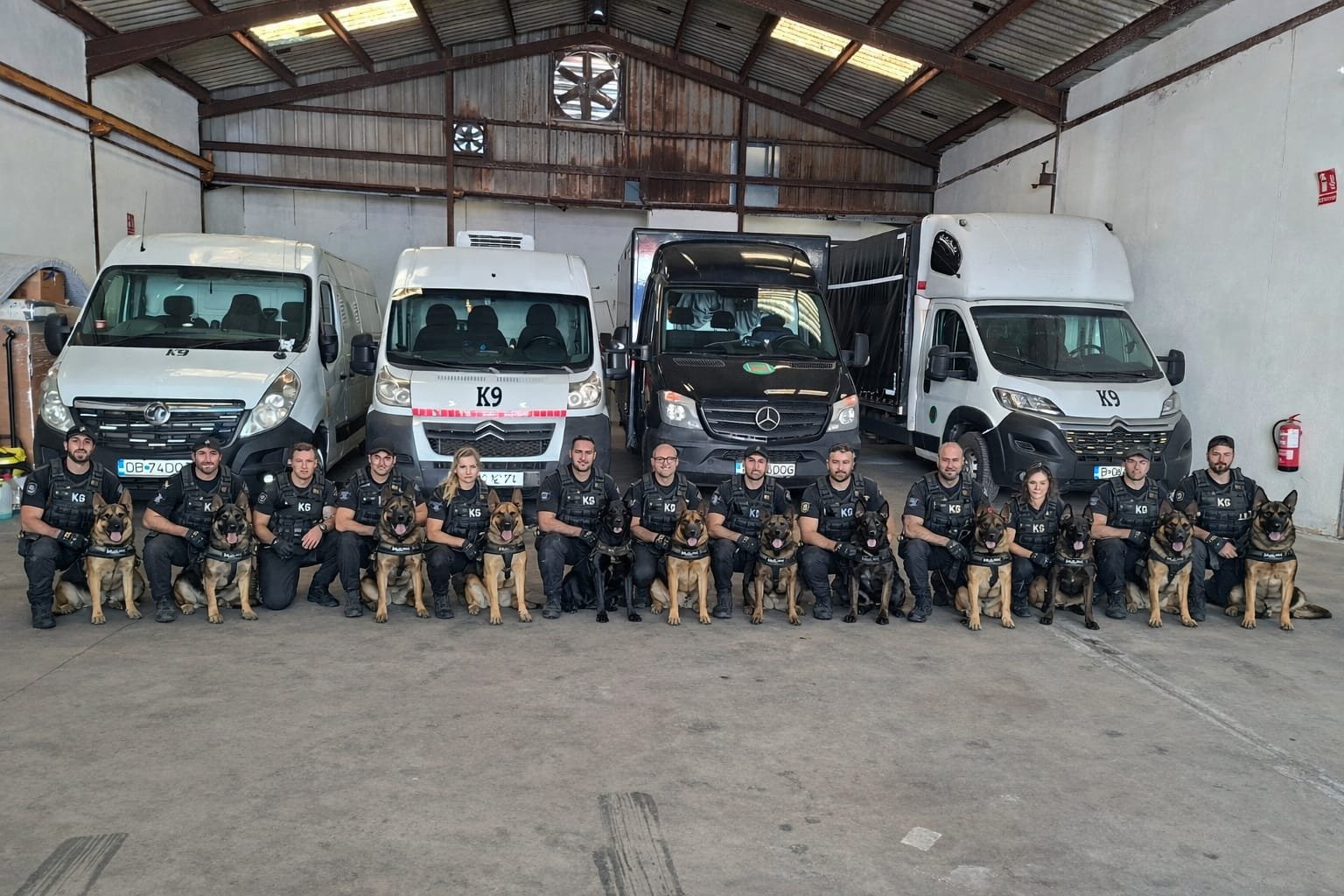 Transport animale de companie