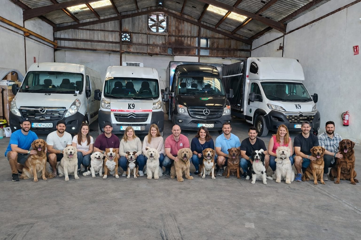 Transport animale de companie